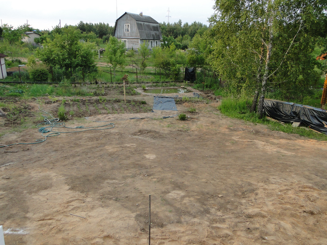 DSC01977