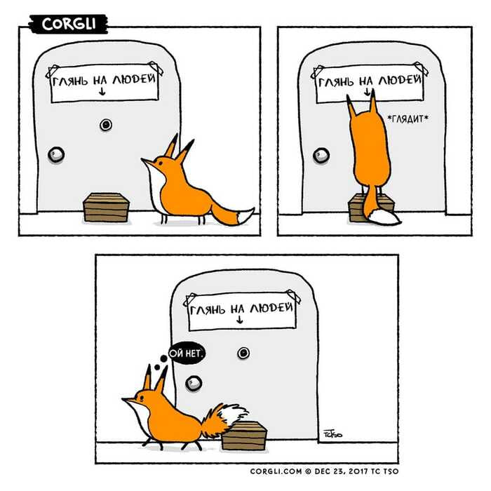 IMG_20240103_182002_123