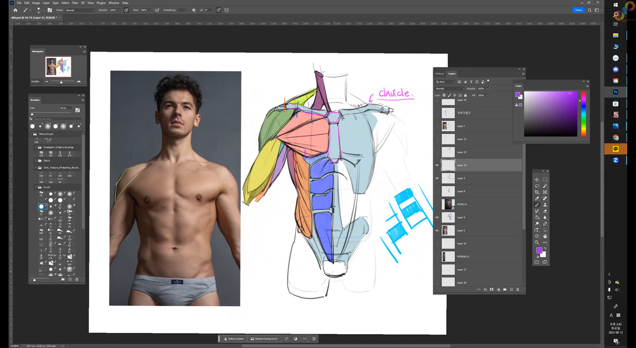 week 1 anatomy 2160p 0000 00 39 22