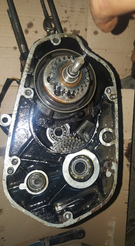 83427927_525109291464852_266400728128421888_n