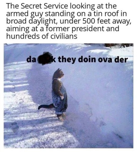 [Linked Image]