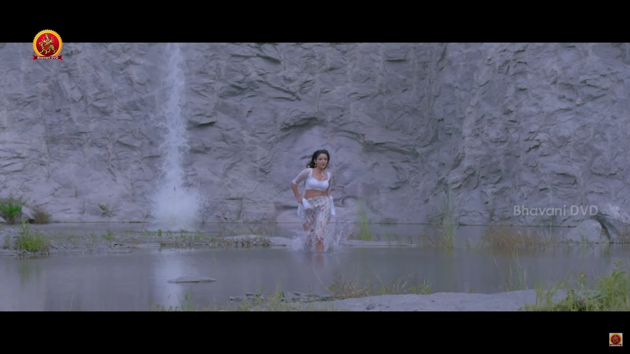 Sonia Mann Hot Navel Song From Dhee Ante 1080p.mp4_snapshot_00.07_[2020.11.21_22.33.12]