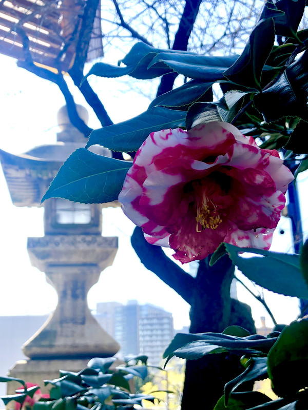 836B74B5-F98B-4577-BBF1-18D22478219C