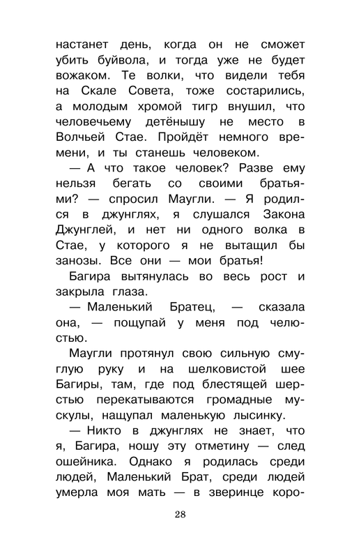 ASE000000000865157-28
