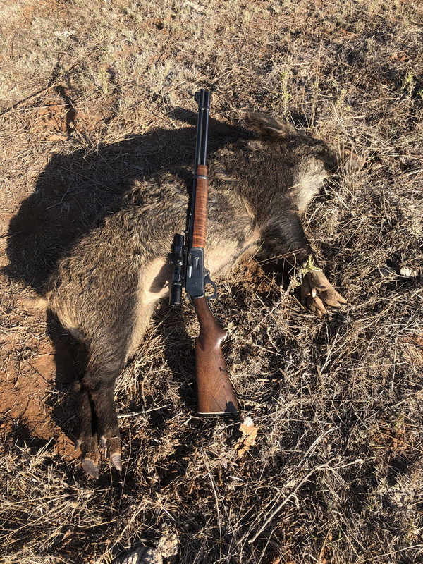 405C0530-B658-4759-A4CB-BA3FFA0D6853