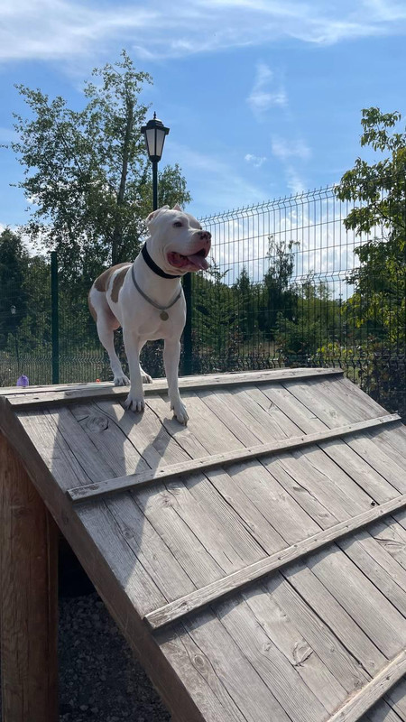 1AC6B102-A8A9-46C2-8B72-740467D8A83B