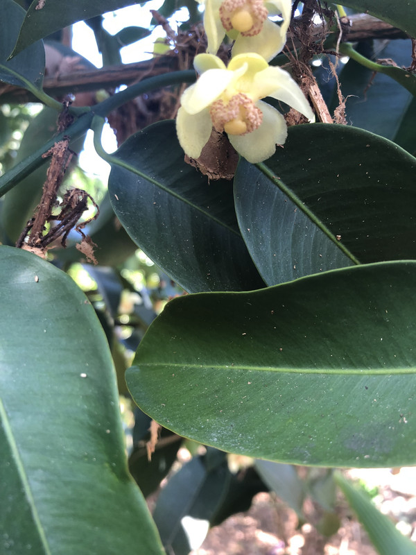 944DA9AD-727E-49B5-9FAA-BADE30A69616