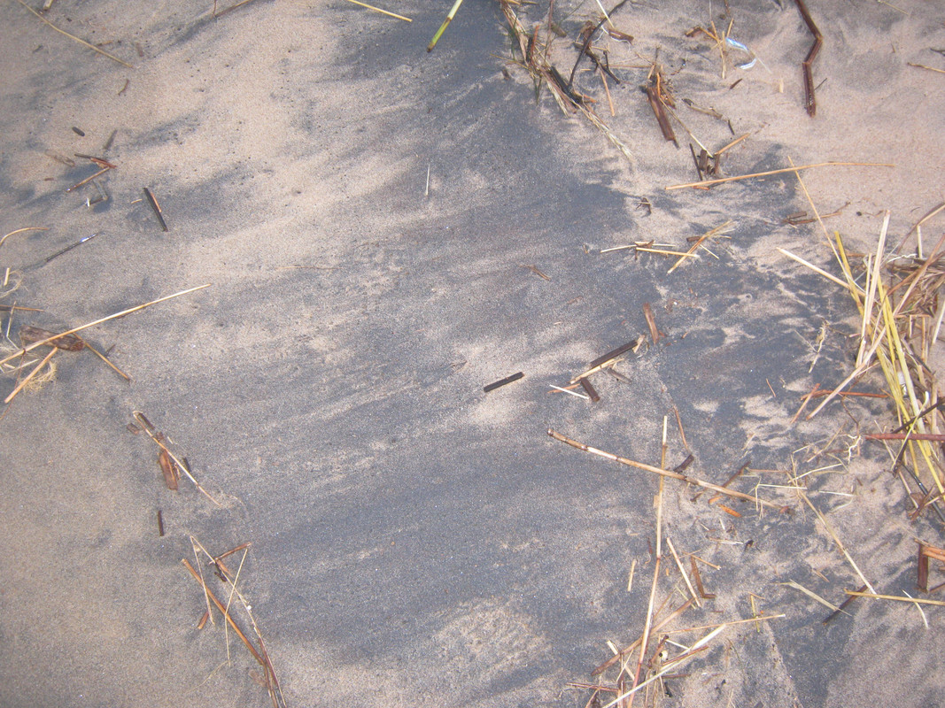 7.12.15 .Rannalla 019