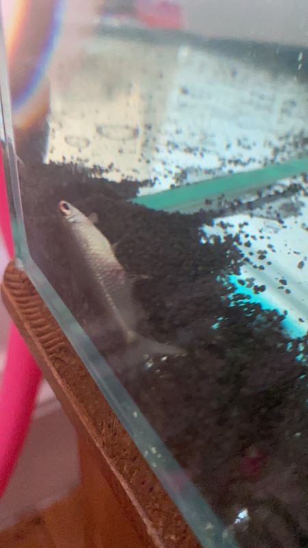 929AC2A8-5478-4137-88FA-5542C490A0B6