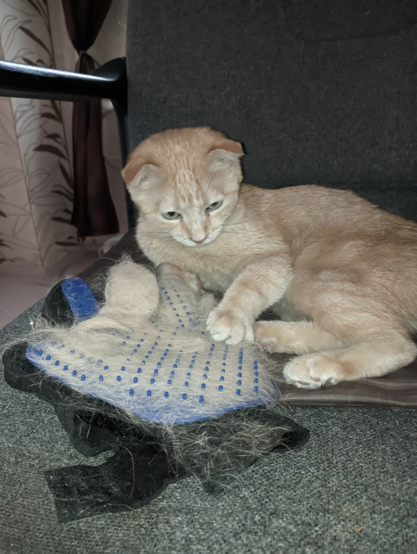 PXL_20230424_115217052