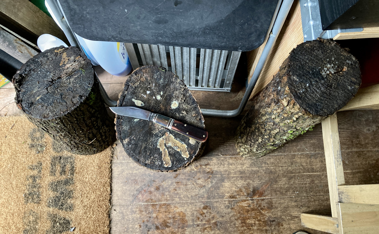 B6C19905-5DD2-414E-9F67-CED436E49DD2