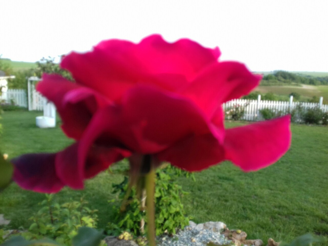 viber_изображение_2019-05-26_19-28-58