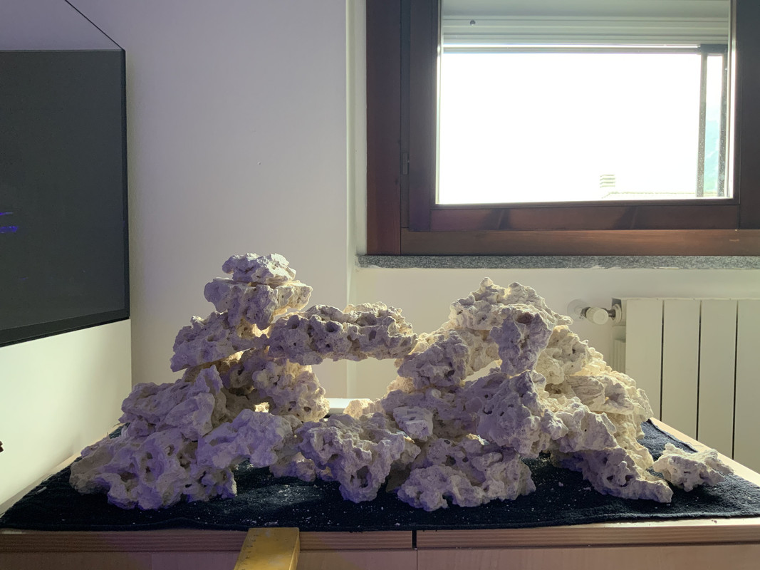 AD044F19-403D-453C-8905-2272E2925D18