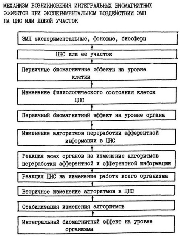 https://i.postimg.cc/C1zSqDRr/image.jpg