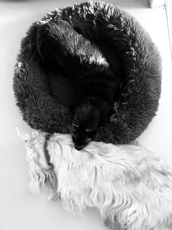 [Image: IMG-1810.jpg]