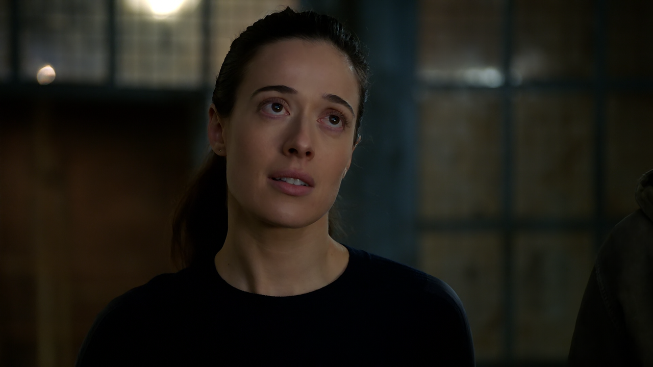Chicago.P.D.S10E15.Blood.and.Honor.1080p.10bit.AMZN.WEB-DL.DDP5.1.HEVC-Vyndros.mkv_snapshot_25.52_[2