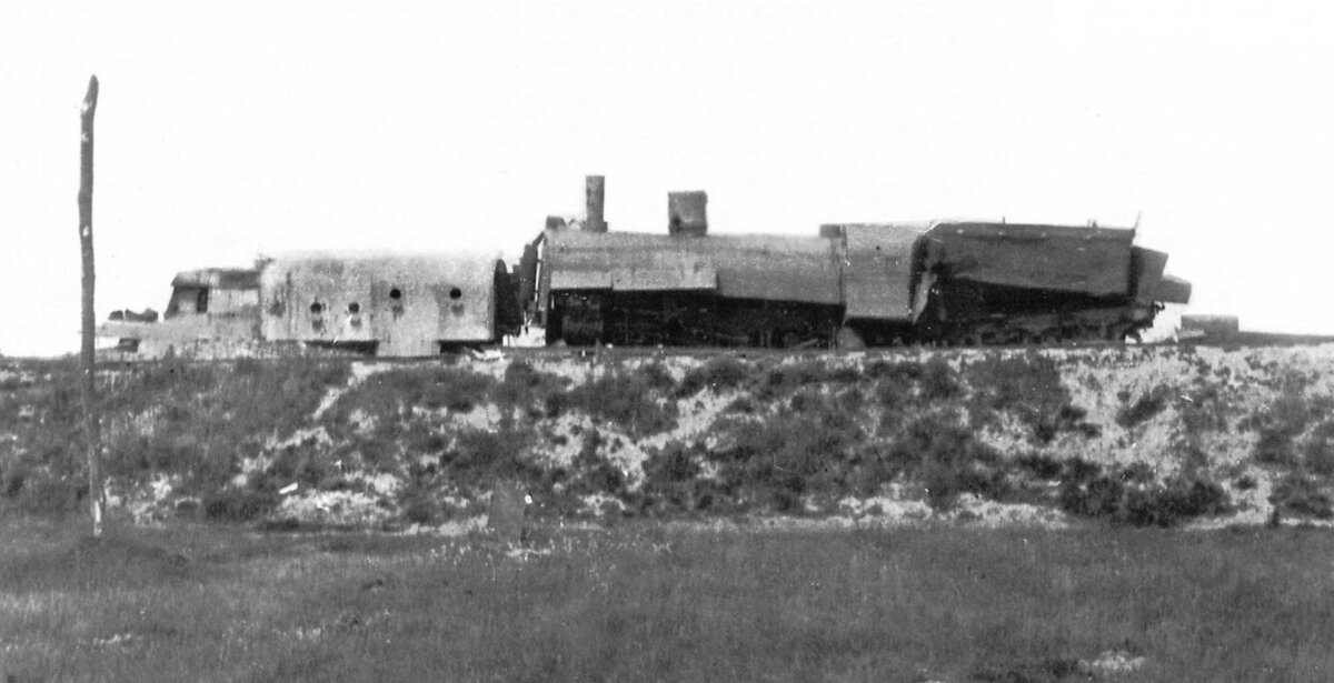 https://i.postimg.cc/C1zd7Myd/scale-1200-2.jpg