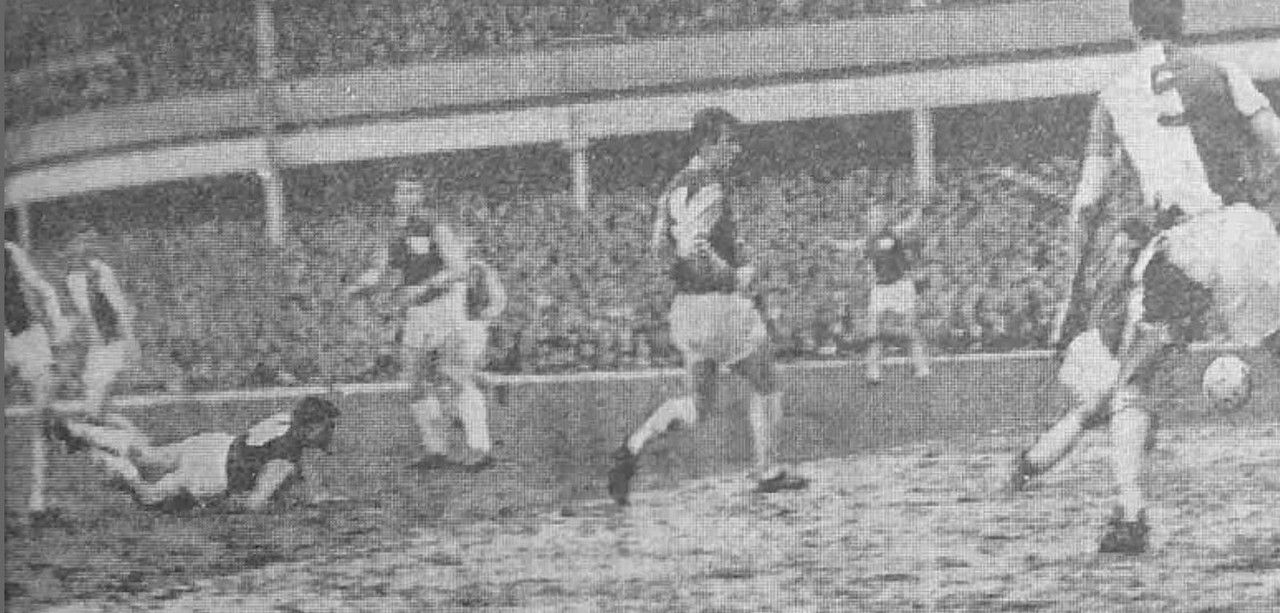 Bloomfield-diving-header.jpg