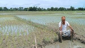জলবায়ু পরিবর্তনের প্রভাবে বাংলাদেশের কৃষি বিপর্যস্ত: দেশের কৃষক আজ সংকটে