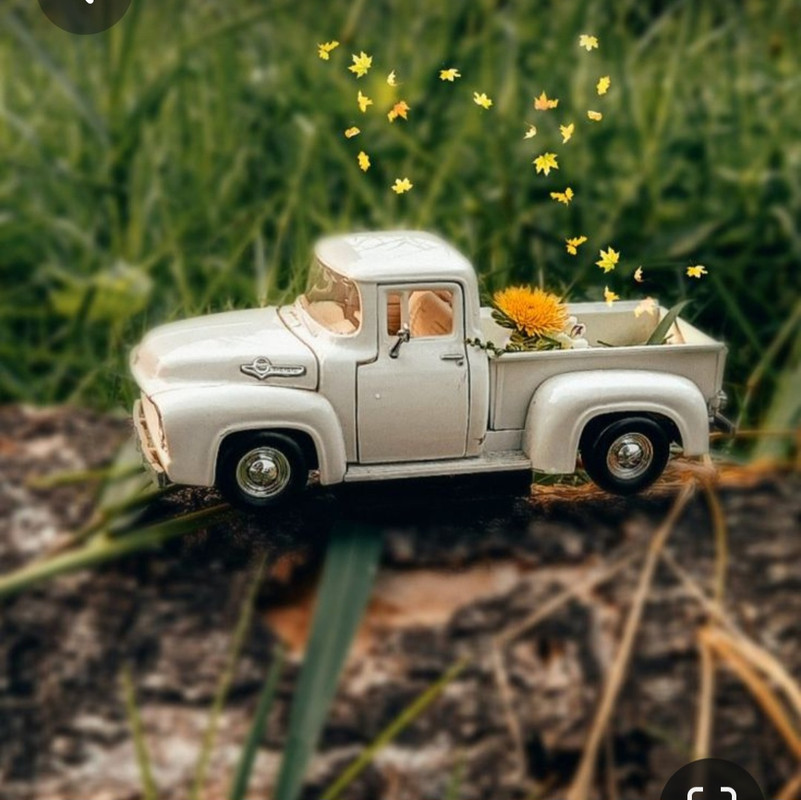 Screenshot_20230616_141014_Pinterest