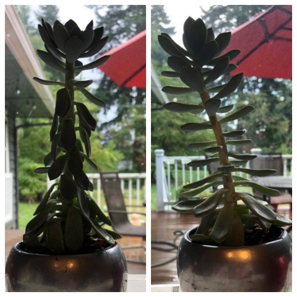 Before-after-10