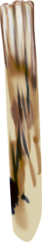 Pumpkinfairykitpudnwood