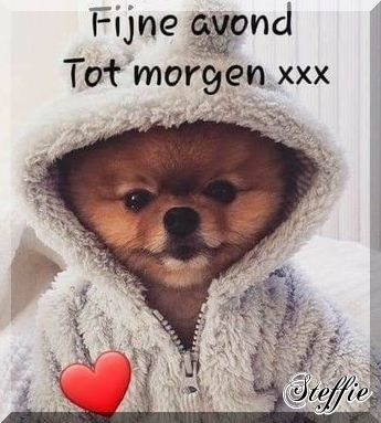 grtz & bedankt