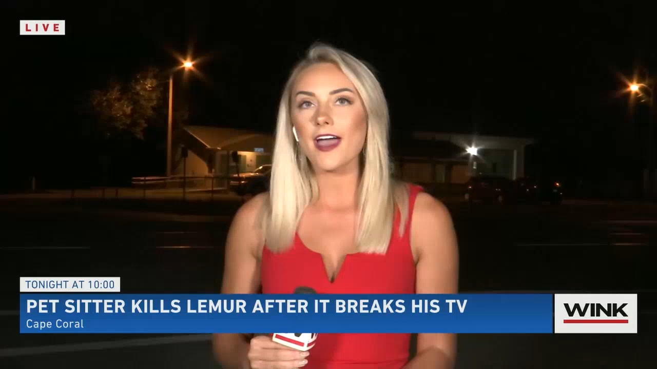 10.23 - 03.00.00 - WINK News at 10 00 p.m..ts_snapshot_00.10.21.054
