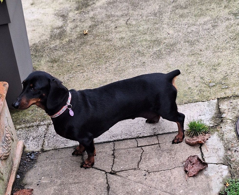 [Image: 20241027-145914.jpg]