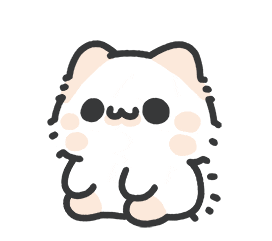cute cat