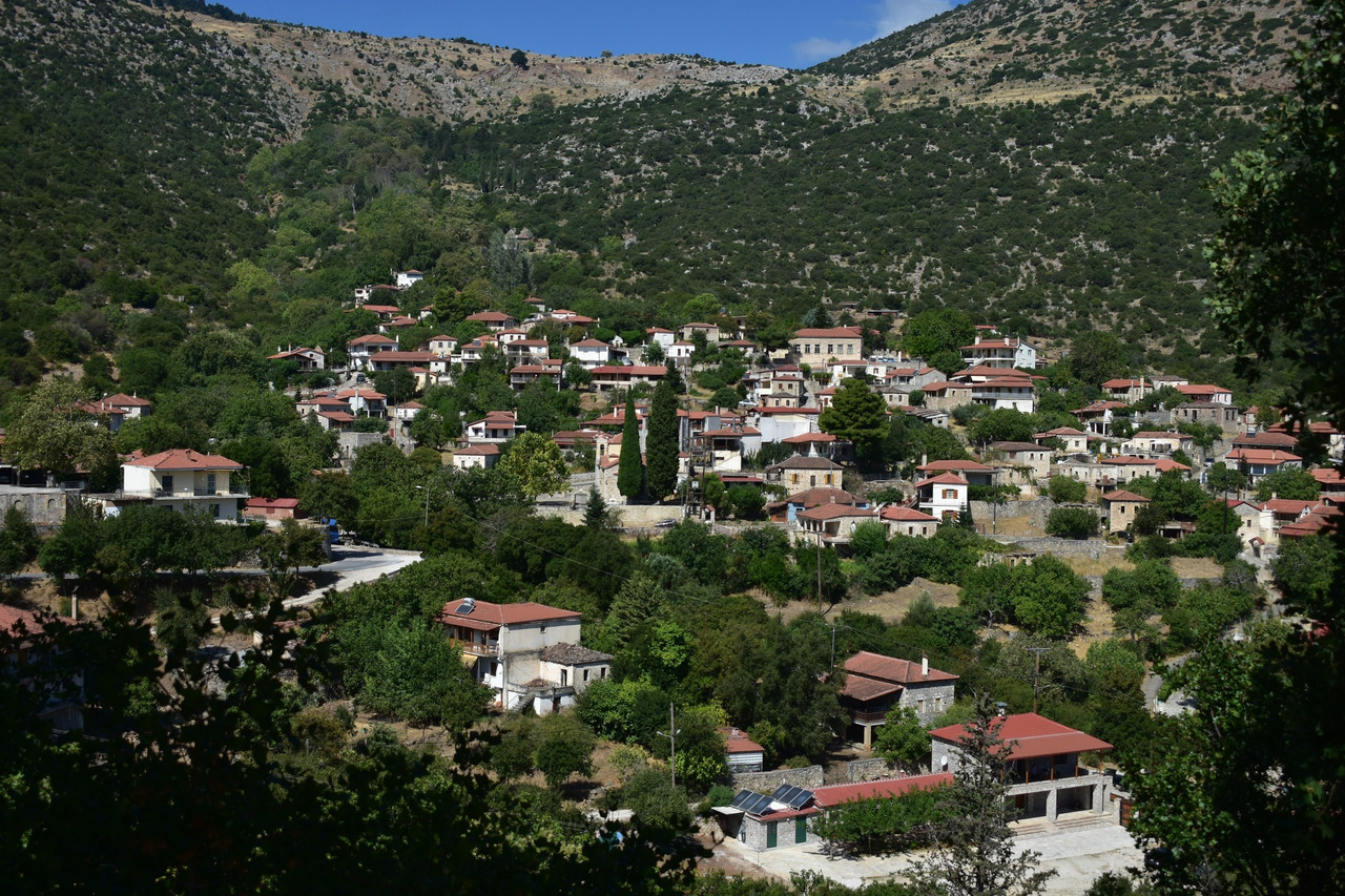 Καρυά (5)