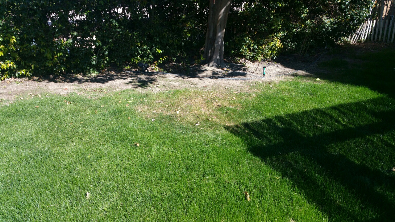 20180217_114057_1518978926289_resized