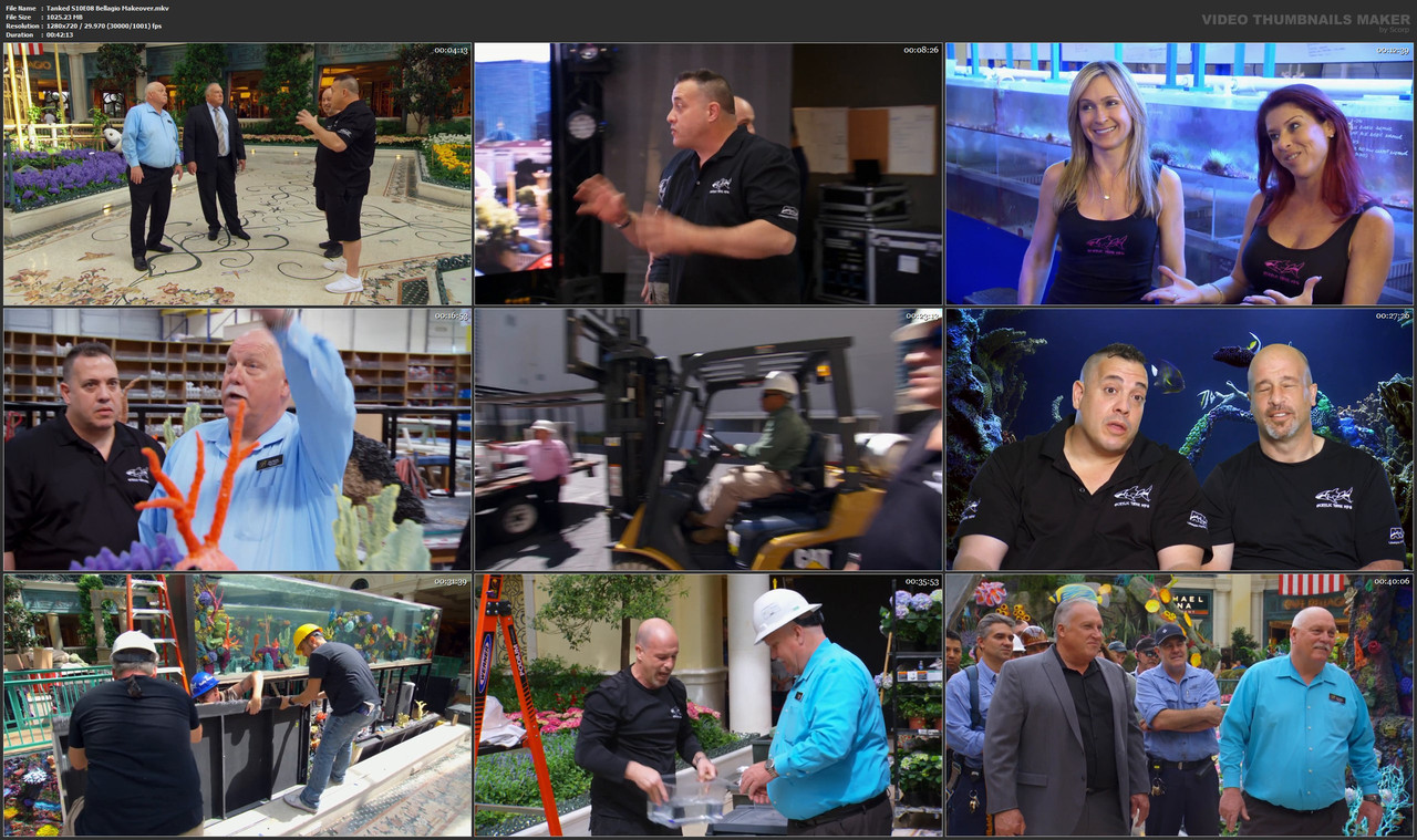 Tanked S10E08 Bellagio Makeover.mkv