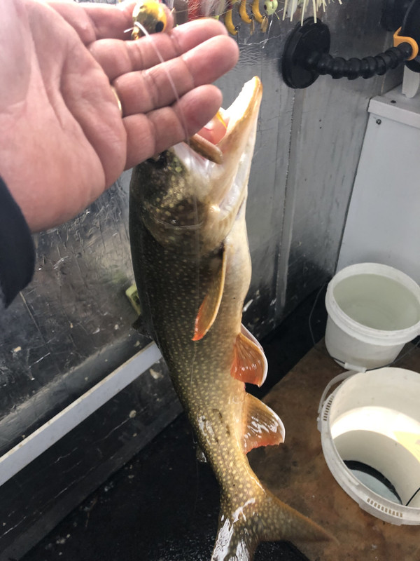 8C7A58F9-238B-4C27-8071-1DD495E1DE24