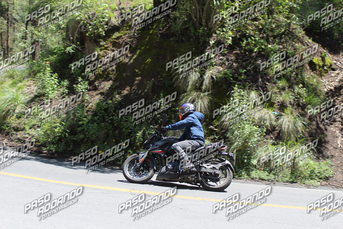 IMG 8157 wm 9318741 5 watermarked — Postimages