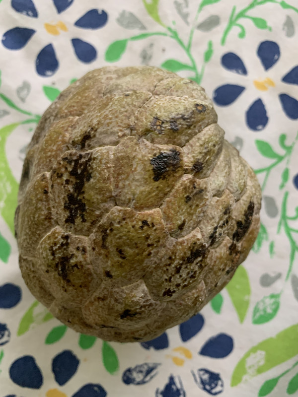 117C9420-36EC-4C8E-9819-7D3CD06E43B2