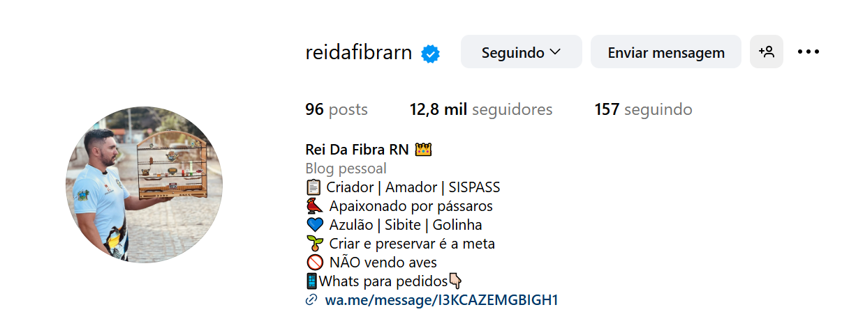 Pássaro coleiro em destaque