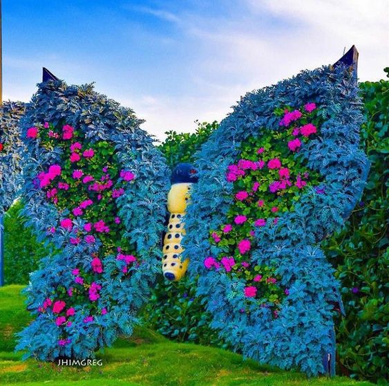 bluefloralbutterfly.jpg