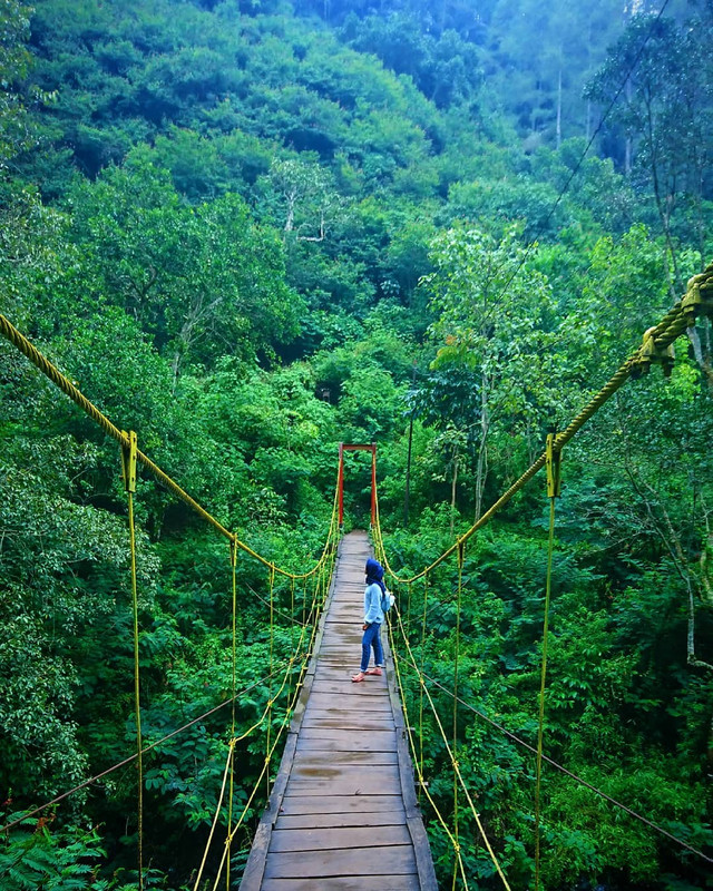 Taman Hutan Kota Ir. H. Juanda