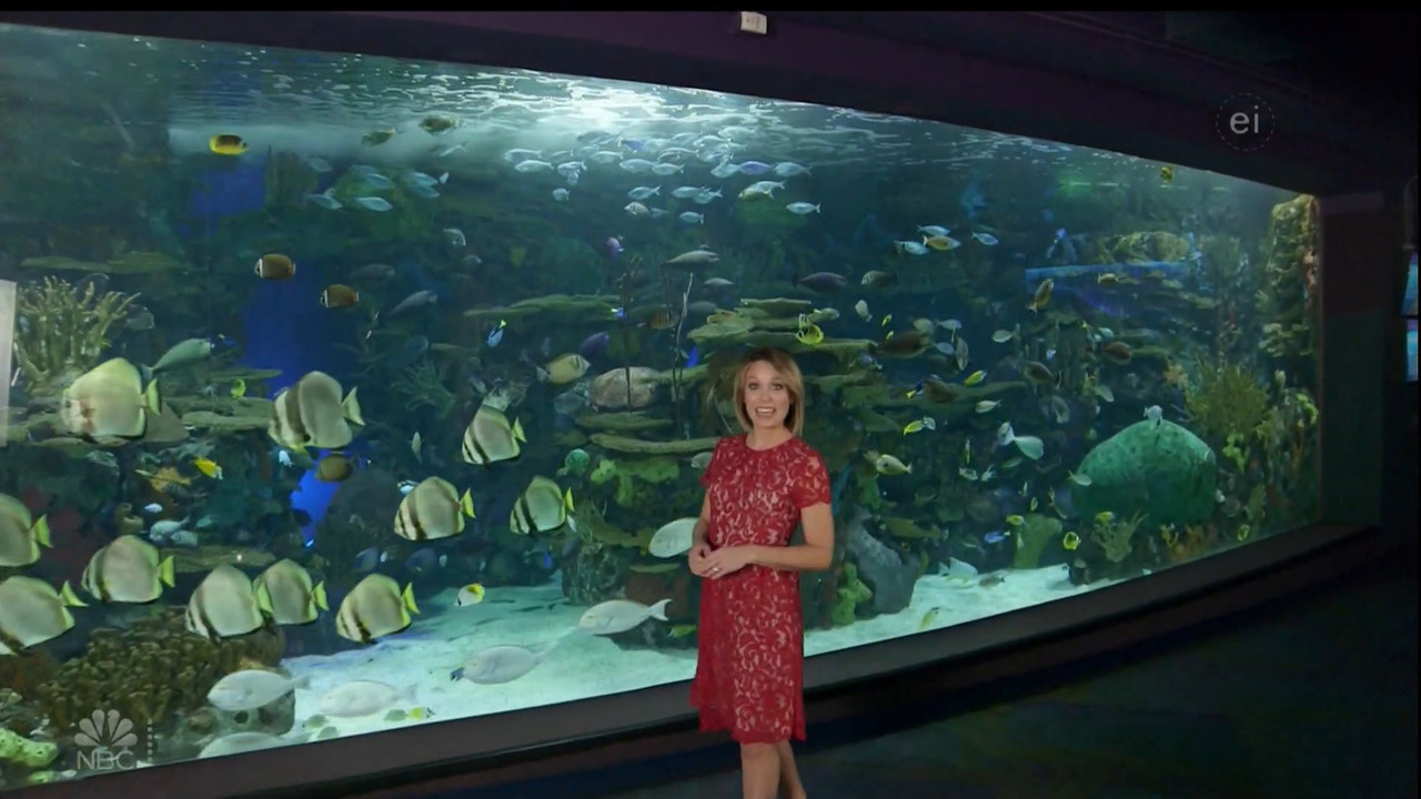 11.07 - 15.00.00 - Earth Odyssey With Dylan Dreyer. The world's smart....ts_snapshot_01.05.09.281