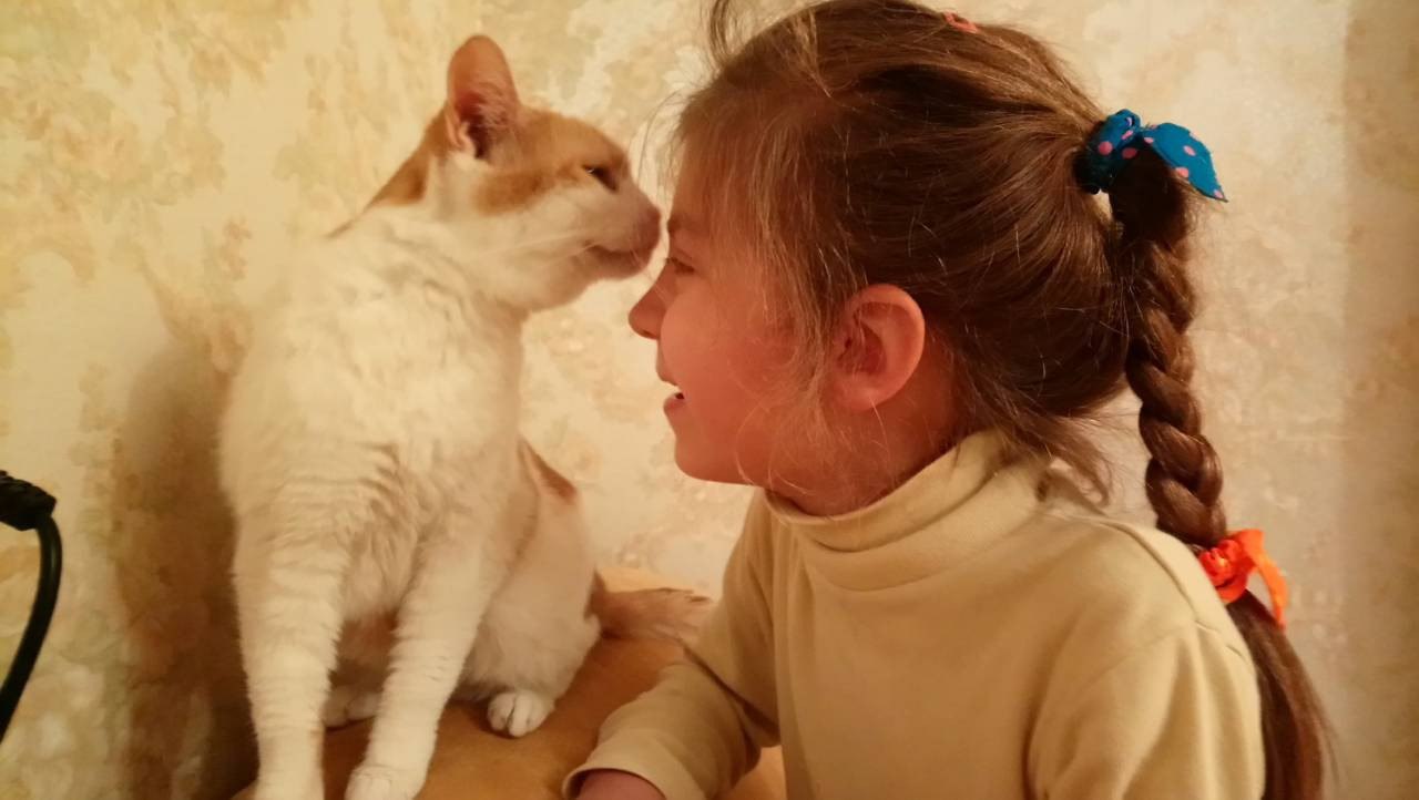 Апельсинка1