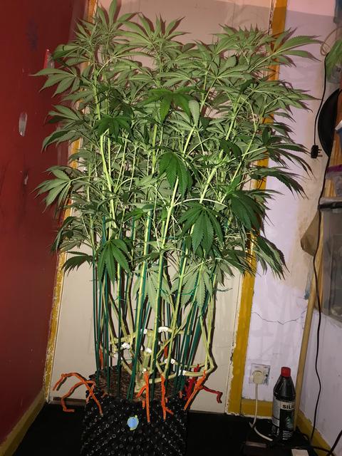 44955126-6EF2-477A-87A0-272095100248