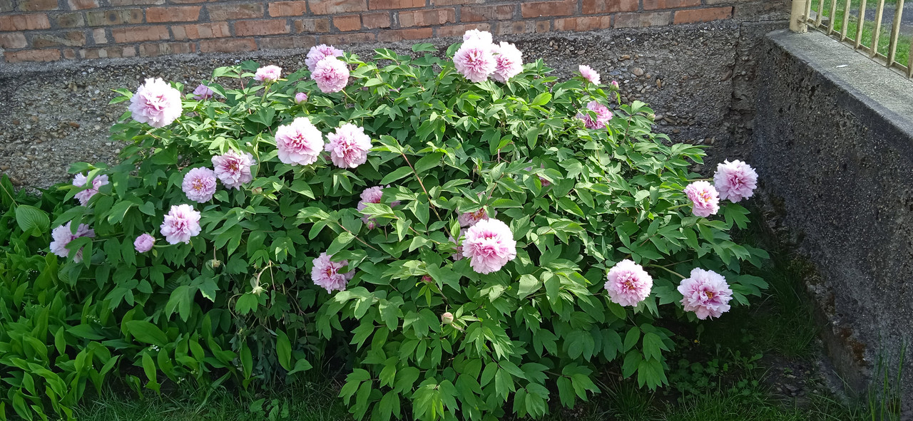 IMG_20240414_163955[1]