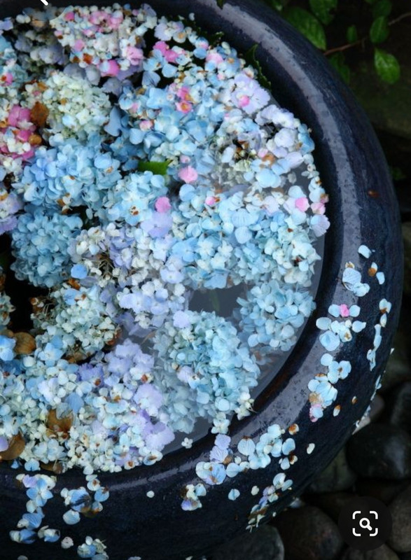 Screenshot_20230514_150752_Pinterest