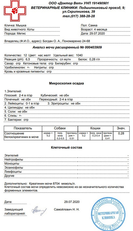 анализ мочи 290720