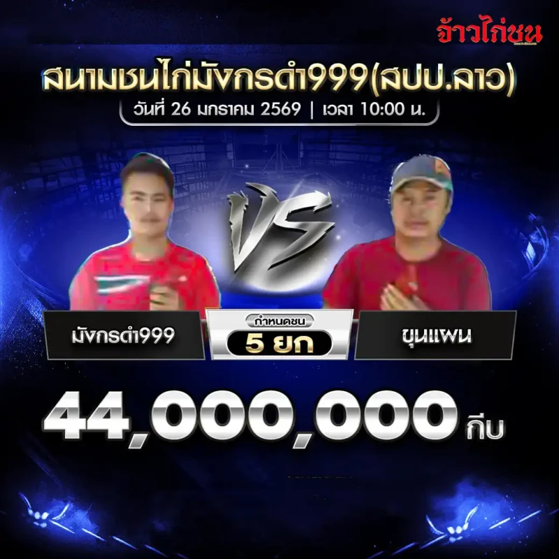 โปรแกรมไก่ชน คู่เด่น มังกรดำ999 พบ ขุนแผน สนามชนไก่มังกรดำ999 วันที่ 26 มกราคม 2569