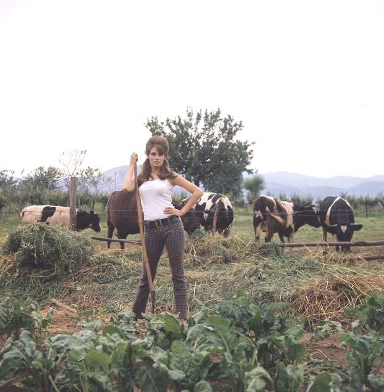 raquel_welch_f62