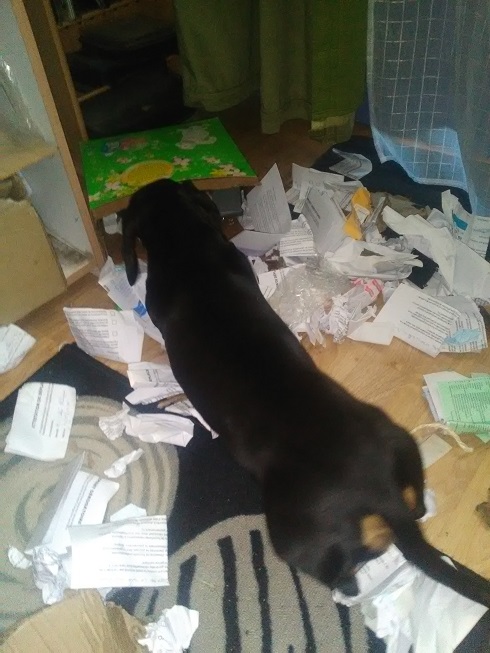 [Image: Betise2.jpg]