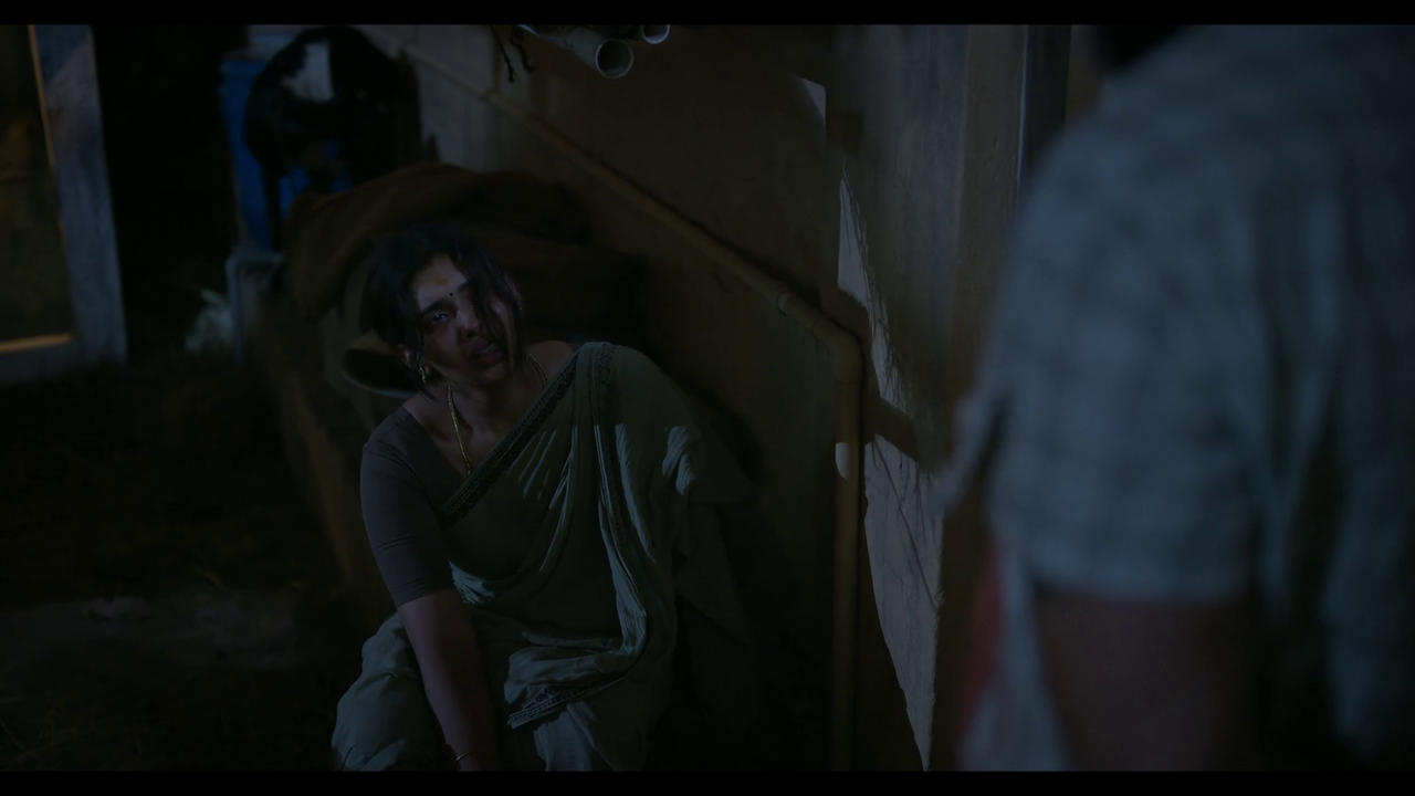 vlcsnap-2025-04-24-21h20m15s976