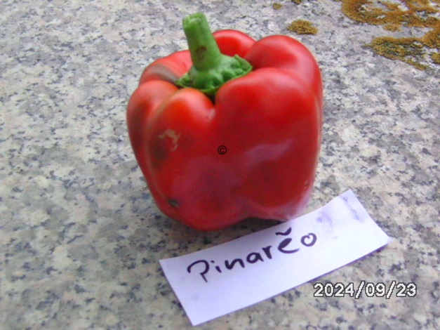 [Bild: BILD0426.jpg]